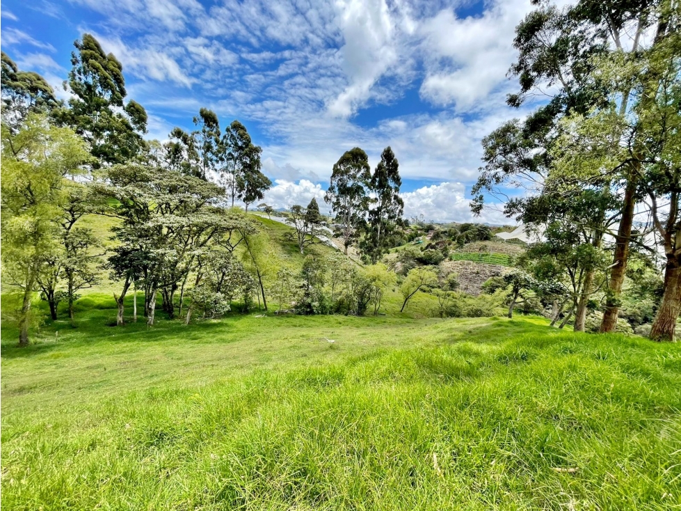 Venta lote vía Rionegro El Carmen para parcelación — foto 3