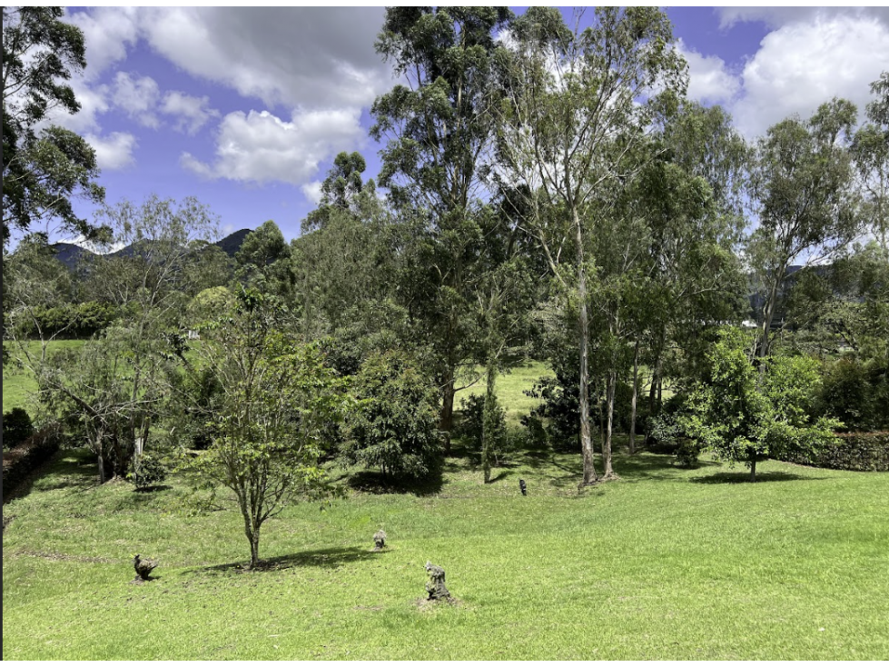 Venta lote de 3.374 m² en unidad cerrada en la Ceja — foto 5
