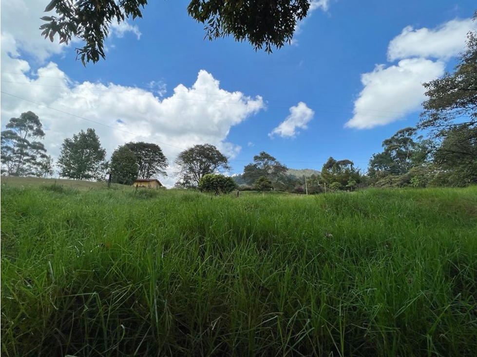 Venta finca en doble calzada con agua propia y establo — foto 5