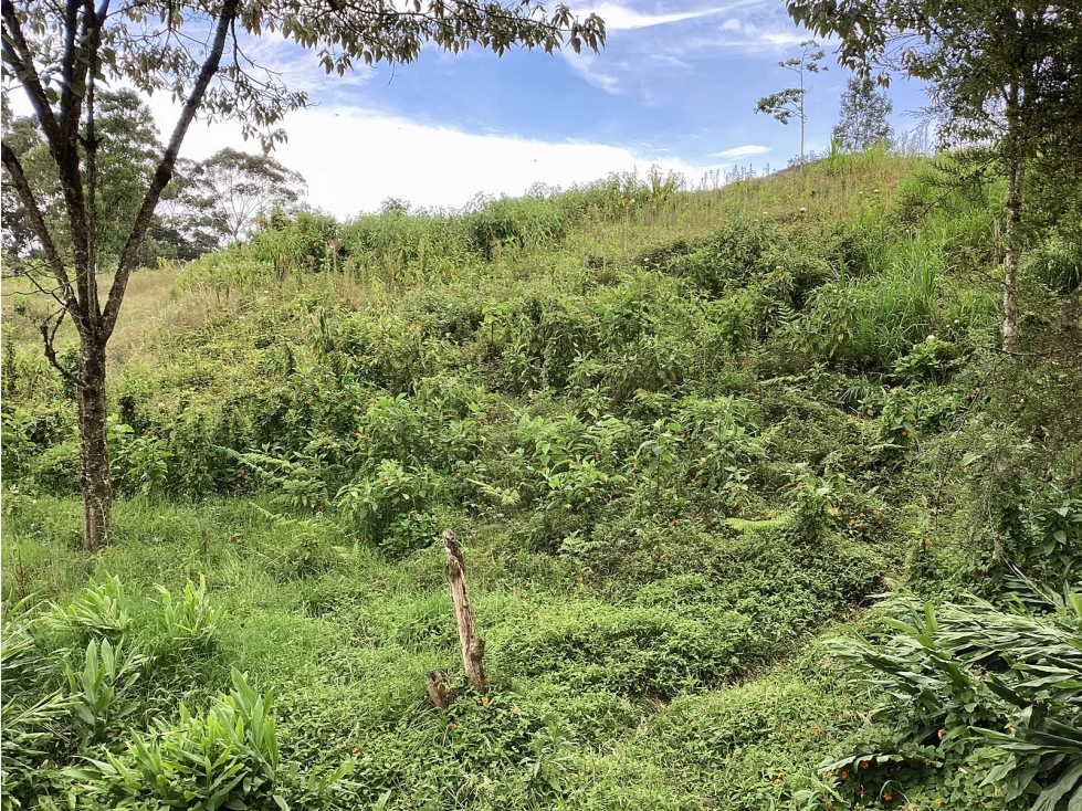 Venta lote de uso mixto en El Carmen de Viboral — foto 5