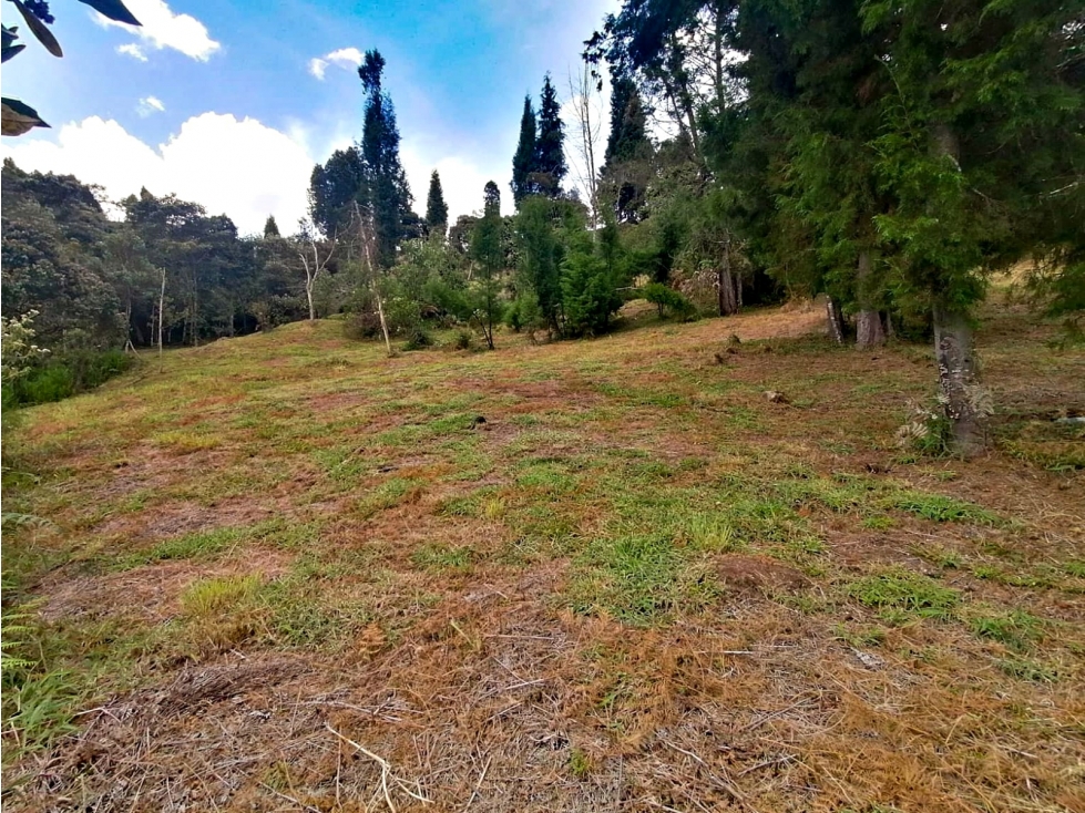 Lote en venta Hojas Anchas, Rionegro 4.600 m², $700 millones — foto 4