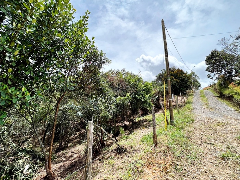 LOTE EN GUARNE — foto 5