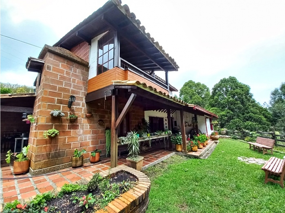 Finca agropecuaria de 6,4 ha con cultivo de aguacate en venta — foto 5