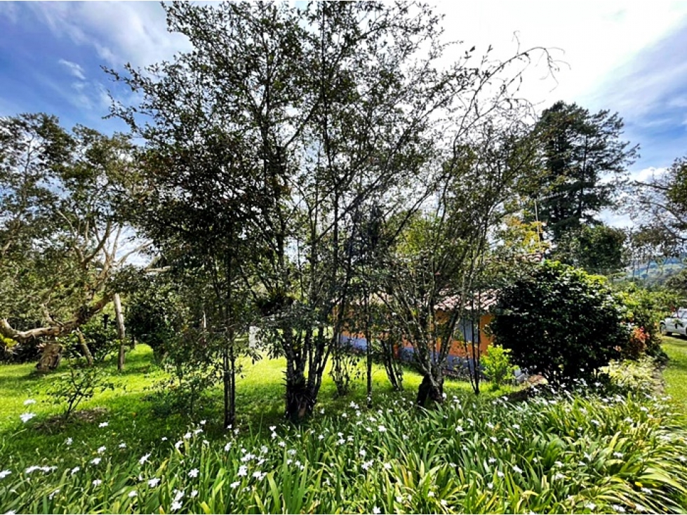 Venta lote 30.000 m² Envigado, ubicación estratégica Las Palmas — foto 5