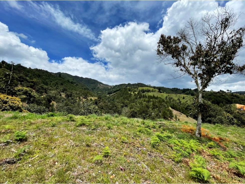 LOTE EN UNIDAD CERRADA UBICADA EN EL RETIRO DE 13.772M2 — foto 5