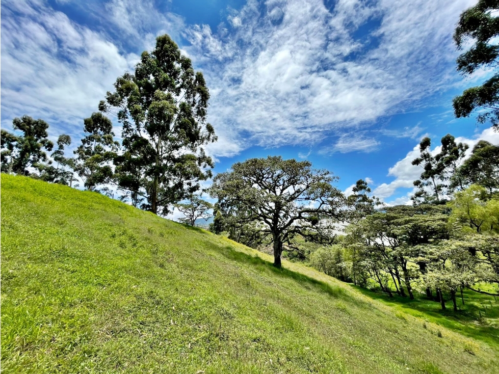 Venta lote en vía Rionegro - El Carmen con nacimientos de agua — foto 6