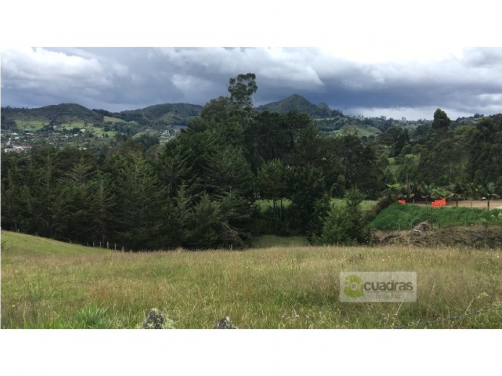 Venta lote en vía Llanogrande - La Ceja de 50.000 m² — foto 5