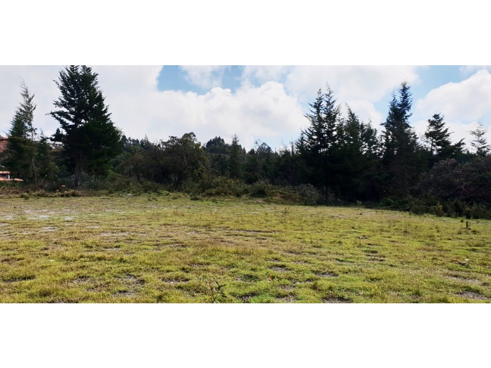 Venta lote en La Mosquita Rionegro con uso comercial e industrial — foto 4