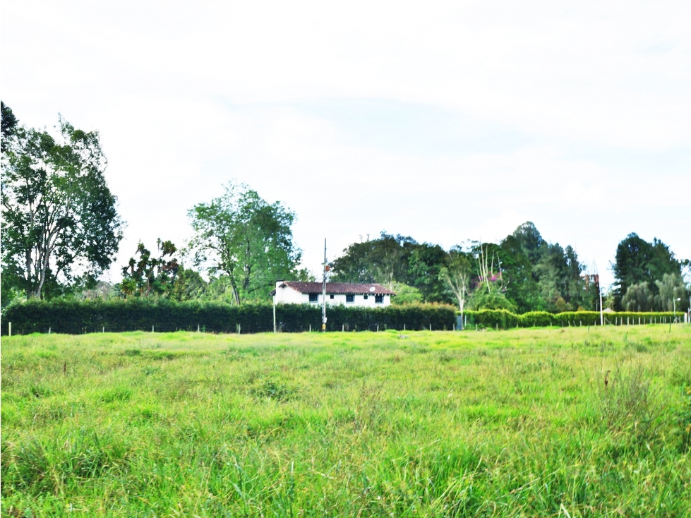 Venta lote en Llanogrande Rionegro de 7.500 m² cerca zona urbana — foto 5