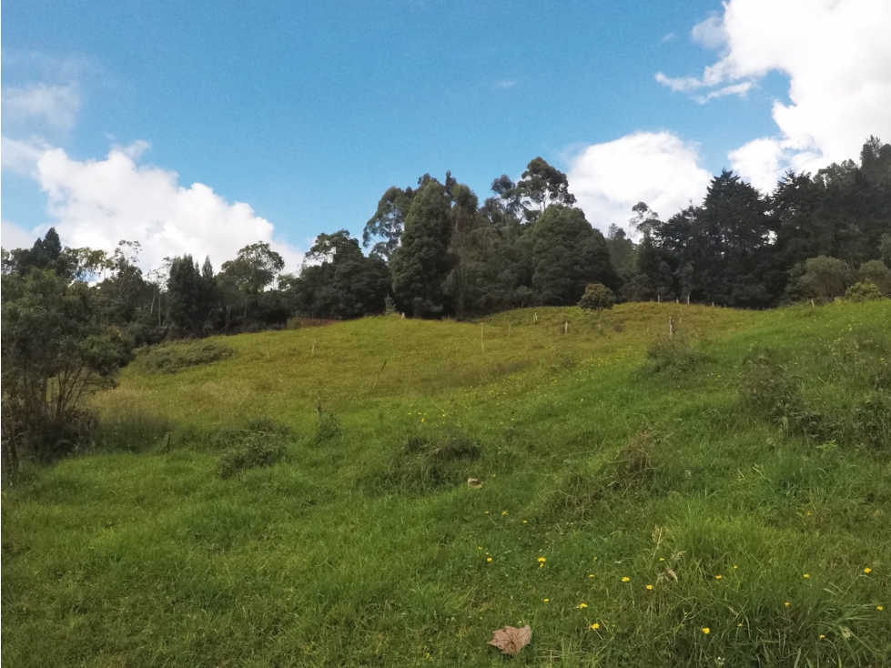 LOTE EN PARCELACION UBICADO POR LA VARIANTE LAS PALMAS DE 8.300M2 — foto 5