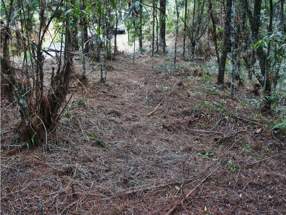 Venta lote en unidad cerrada con bosque nativo y cascadas — foto 5