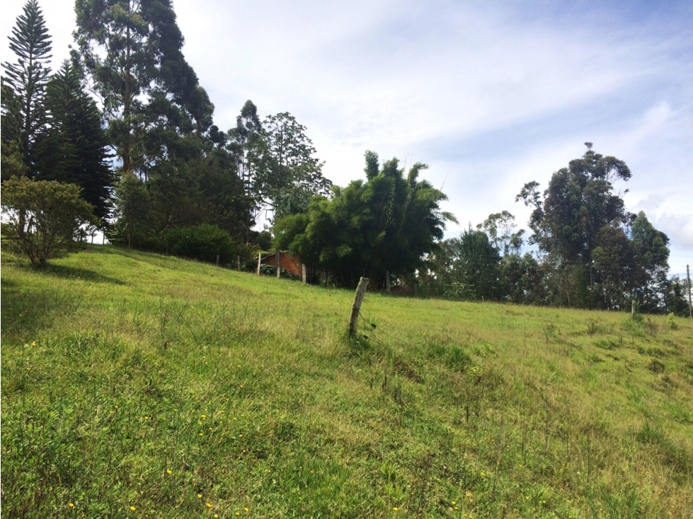 Venta lote en Rionegro vía San Antonio-La Ceja con 2 matrículas — foto 5
