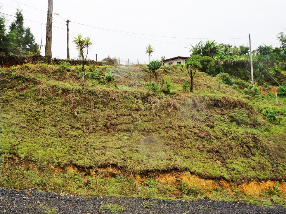 LOTE EN VENTA UBICADO EN RIONEGRO DE 12.000 M2 — foto 5