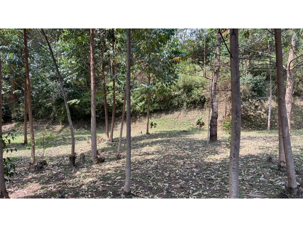 Venta de lote campestre independiente 5.744 m² en Rionegro, Antioquia — foto 5