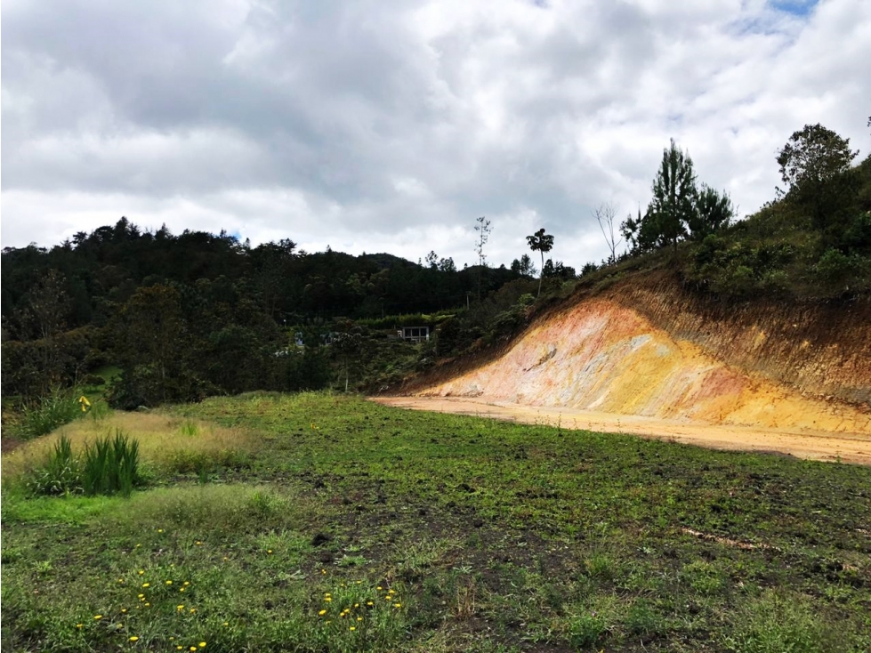 LOTE EN EL SECTOR DE PANTANILLO CON HERMOSA VISTA RODEADO DE BOSQUE — foto 5