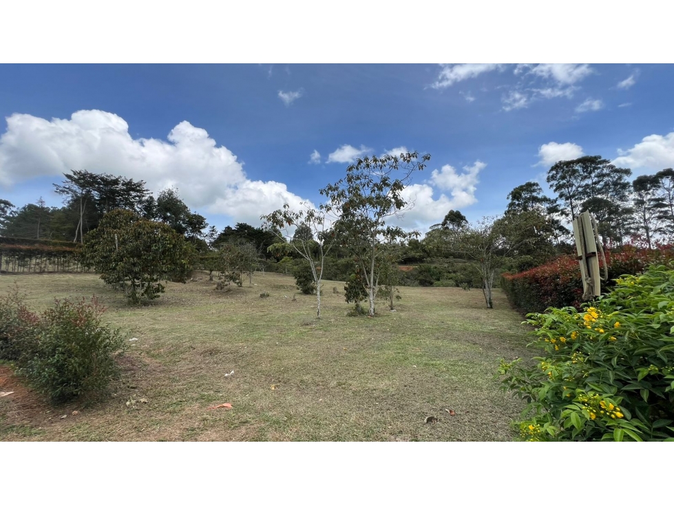 VENTA DE LOTES DESDE 2.100 M² UBICADOS POR RECINTO QUIRAMA, RIONEGRO — foto 6