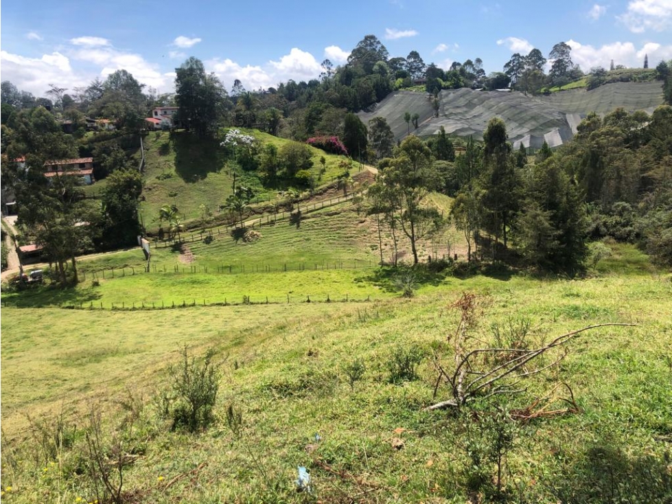 Venta lote en Rionegro con opción de parcelar en 9 unidades — foto 5