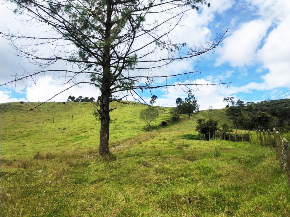Venta lote en vía Don Diego - La Ceja a borde de vía — foto 5