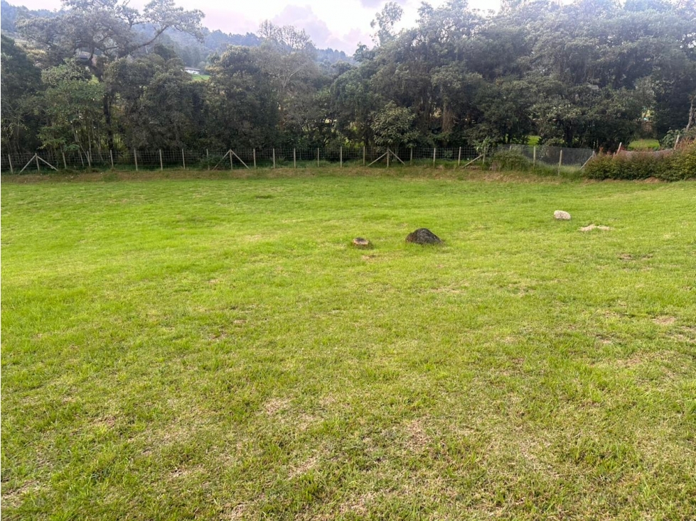 Venta de lote en exclusiva Parcelación del Alto de Palmas — foto 5