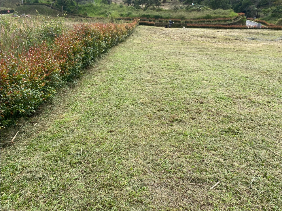 Venta lote en Guarne Parcelación cerca al aeropuerto — foto 4