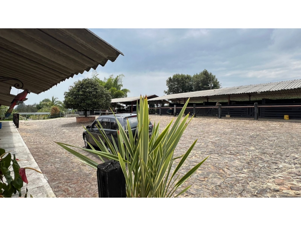 Venta de finca en Rionegro- pesebreras- Vereda Chachafruto, Sajonia — foto 3
