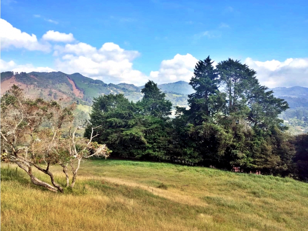 Venta lote en Llanogrande vereda Guayabito con excelente vista — foto 4