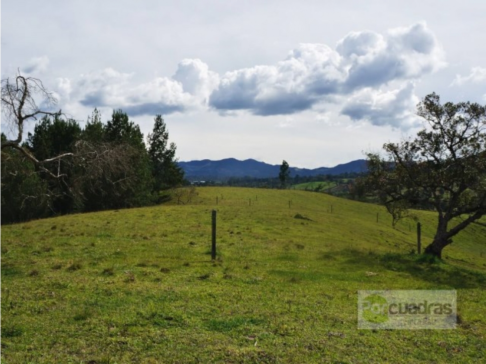 Venta Lote Uso mixto + 21,7 hectáreas + El Carmen sobre vía principal. — foto 6