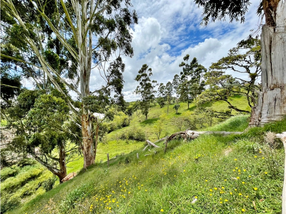 Venta lote vía Rionegro El Carmen para parcelación — foto 4