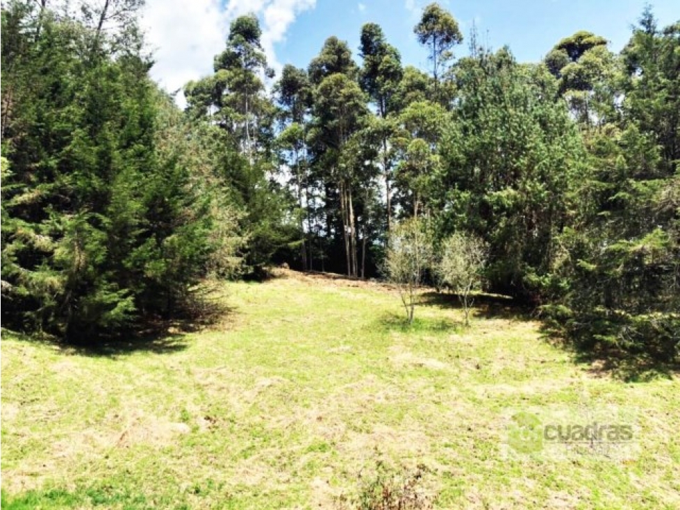 Venta lote 18.382 m² en la ceja vereda Santa Teresa