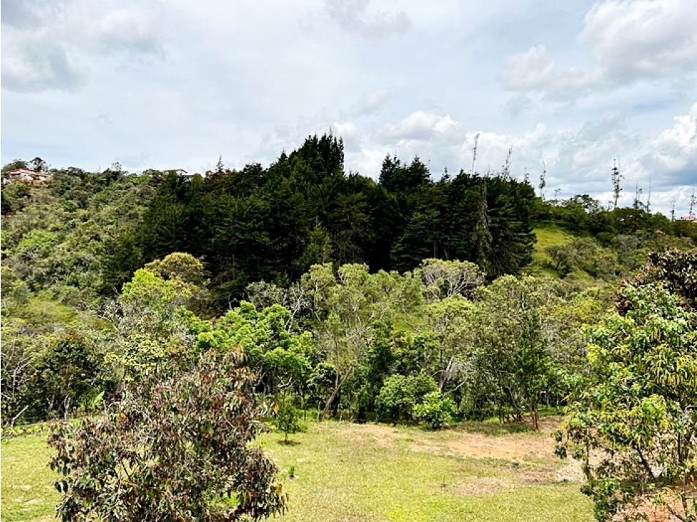 LOTE EN GUARNE — foto 6