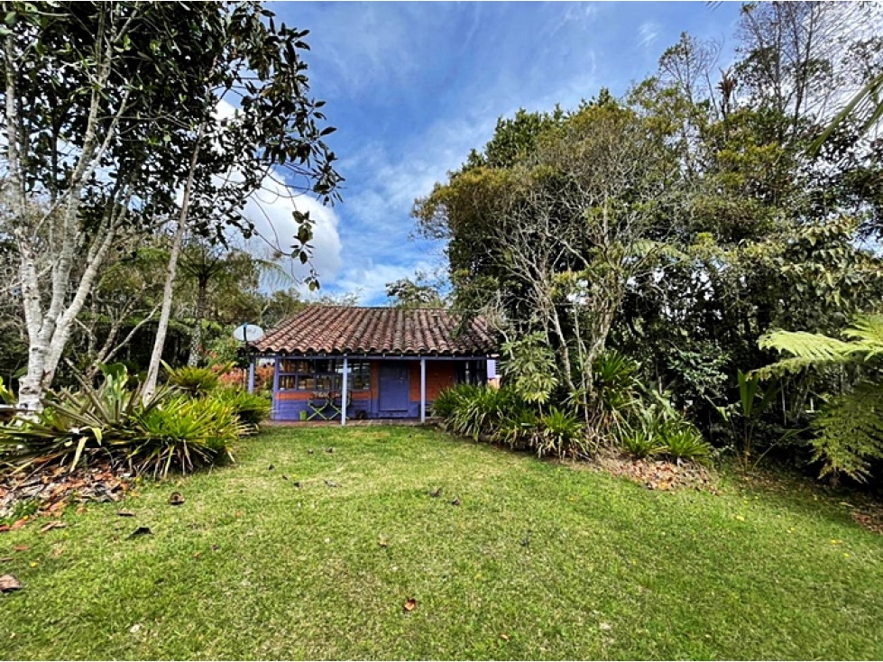 Venta lote 30.000 m² Envigado, ubicación estratégica Las Palmas — foto 6