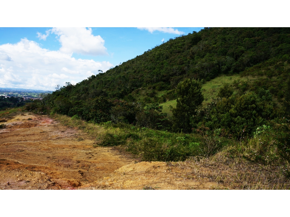 LOTE VIA SAN ANTONIO LA CEJA CON VISTAS DE 2.000 M2 — foto 6