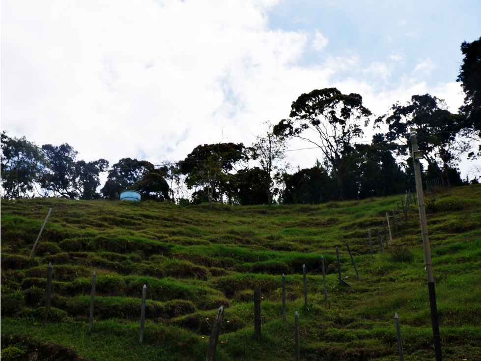 Lote en venta sector Eafit Llanogrande Rionegro. En parcelación — foto 5