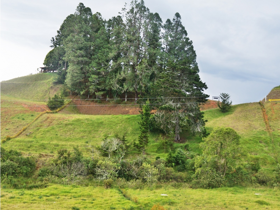 Venta de lote en unidad cerrada 3.147 m² El Retiro, Antioquia — foto 6