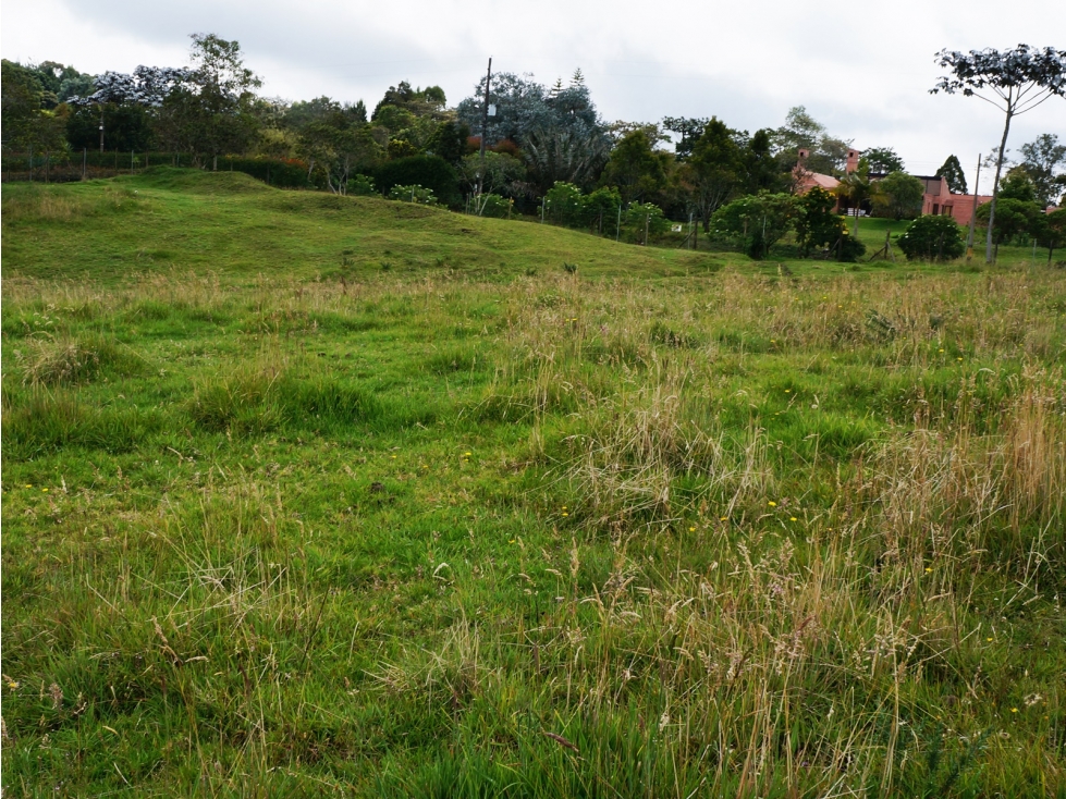LOTE INDEPENDIENTE UBICADO EN LA VARIANTE DE PALMAS DE 3.500 M2 — foto 6
