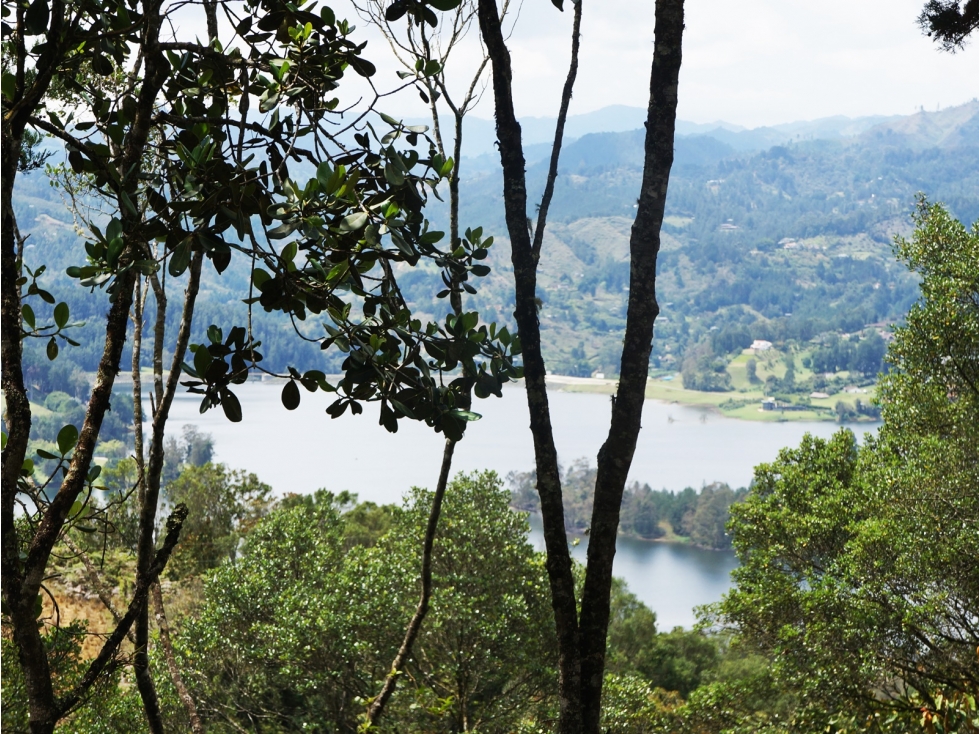 Venta | Lote con vista a la represa en El Retiro y bosque nativo