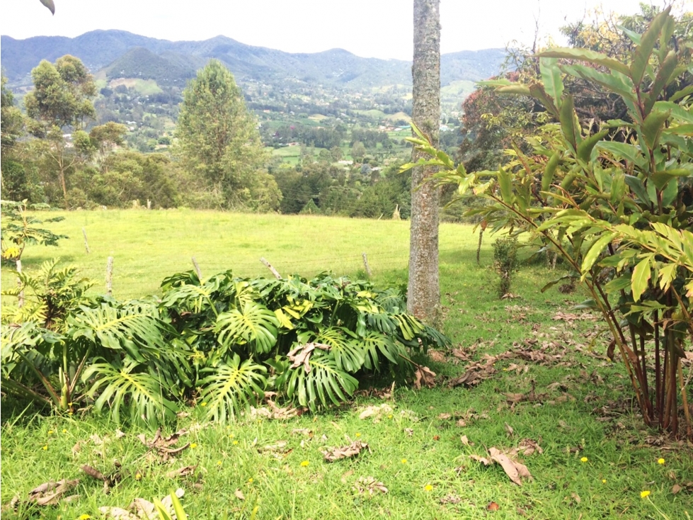 Venta lote en Rionegro vía San Antonio-La Ceja con 2 matrículas — foto 6