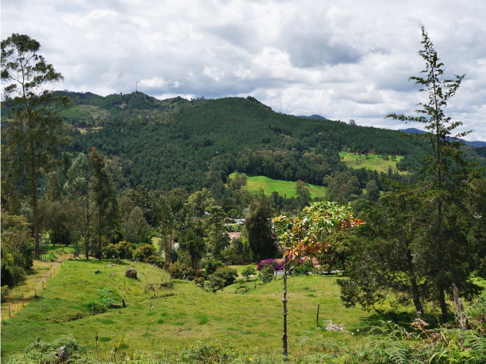 Venta lote vía Llanogrande - Don Diego con 4 subdivisiones — foto 6
