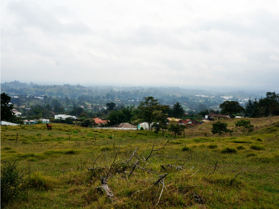 Venta lote en vía Llanogrande - La Ceja con 6 matrículas — foto 6