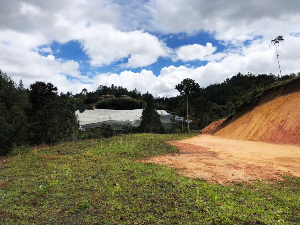 Lote campestre en venta en Pantanillo 6.200 m² con explanaciones — foto 6