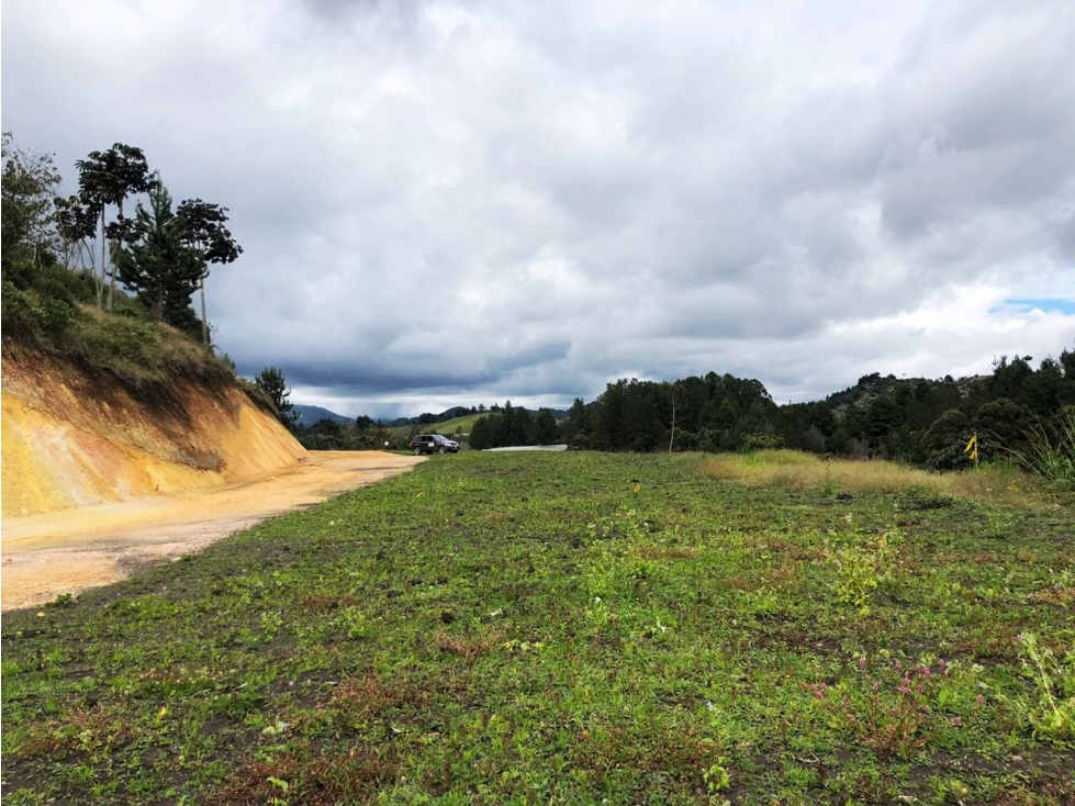 LOTE EN EL SECTOR DE PANTANILLO CON HERMOSA VISTA RODEADO DE BOSQUE — foto 6