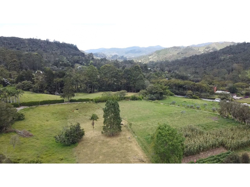 Lote independiete de 5.200 m2 por Eafit en llanogrande Rionegro — foto 6