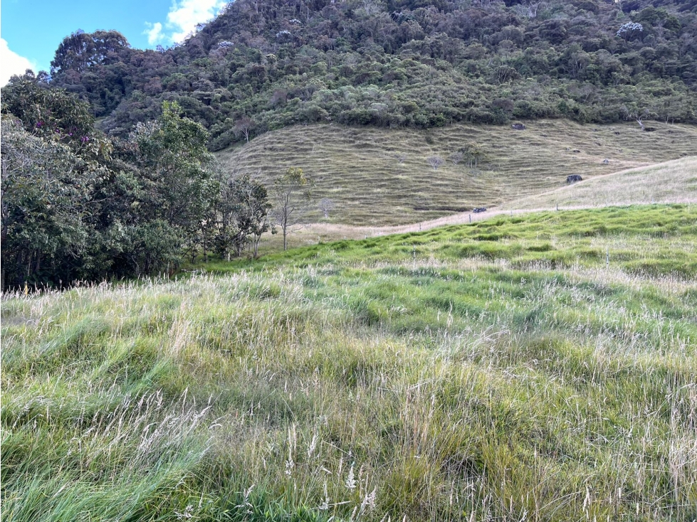 Venta casa campestre en La Ceja con pesebreras