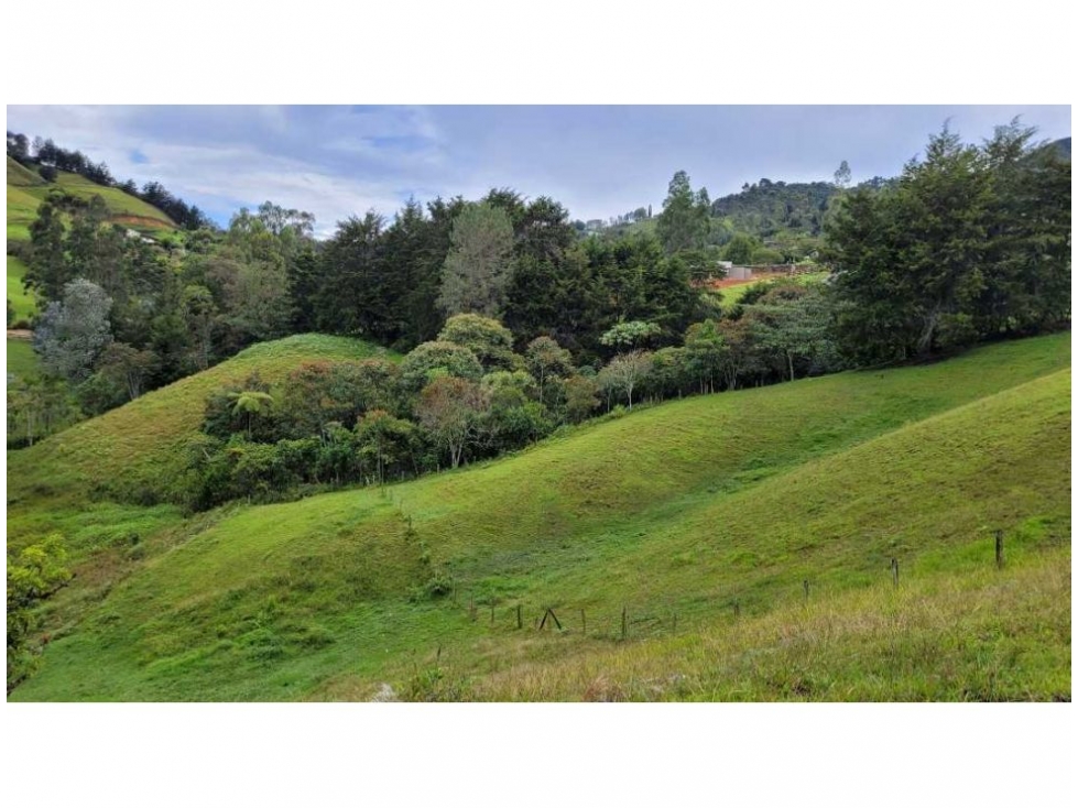 Venta finca en Higuerón Rionegro con 3 matrículas y vista 360 — foto 2