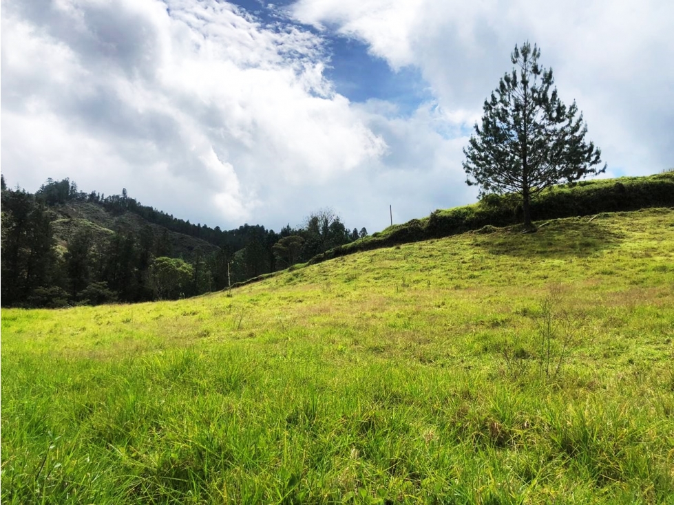 Venta lote en vía Don Diego - La Ceja a borde de vía — foto 6