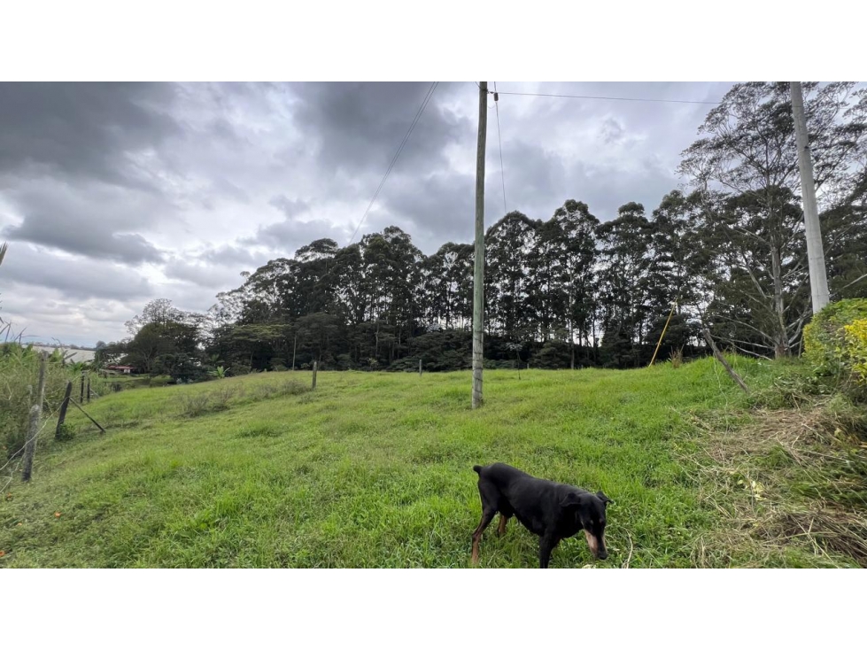 Venta de lote en El Carmen de Viboral, Antioquia 3.400 m² con vista — foto 3