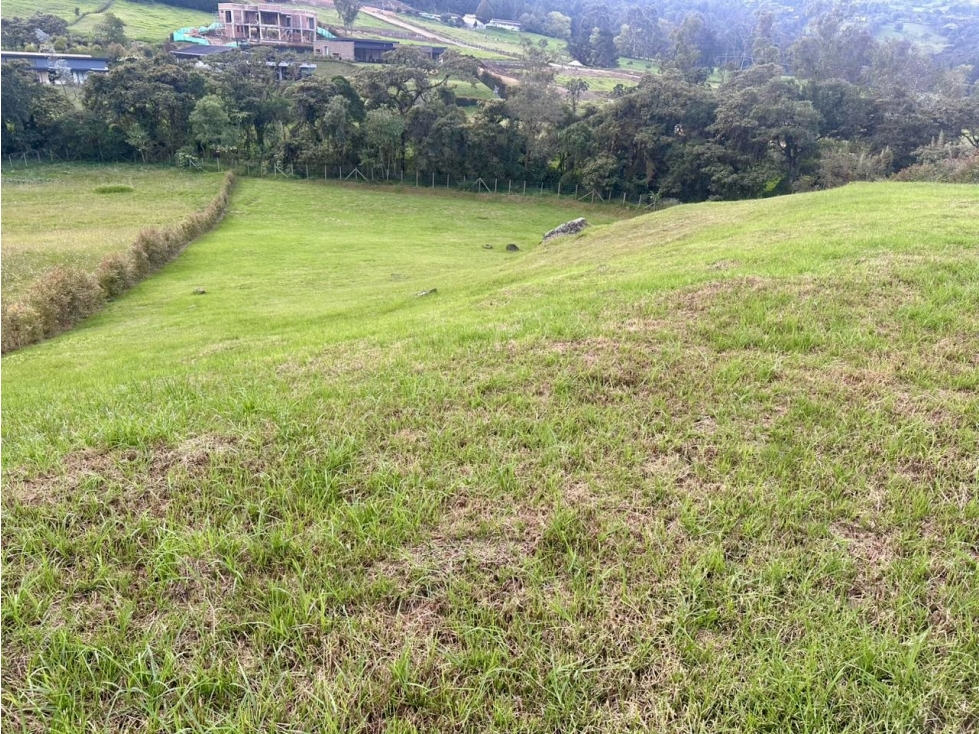 Venta de lote en exclusiva Parcelación del Alto de Palmas — foto 6