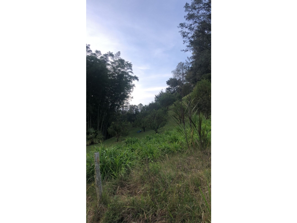 Venta lote en Pontezuela unidad cerrada con doble acceso — foto 4