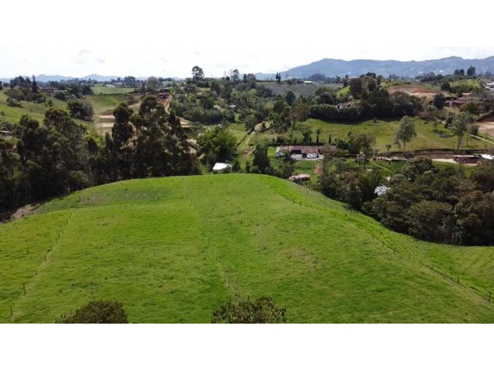 Venta lote en El Carmen de Viboral para proyecto urbanístico — foto 2