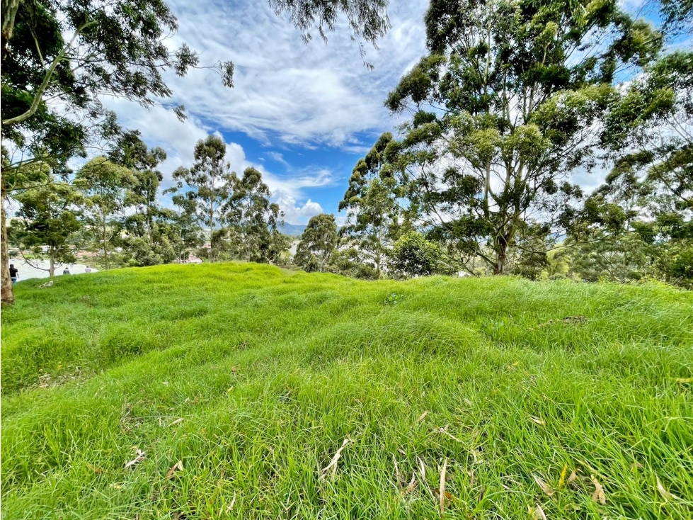 Venta lote vía Rionegro El Carmen para parcelación — foto 5